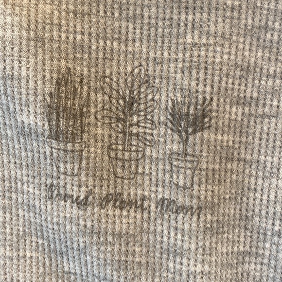 American Eagle Proud Plant Mom Waffle Knit Hoodie Cropped XS Gray Hooded Shirt - Picture 2 of 7
